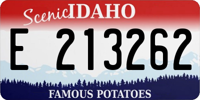 ID license plate E213262