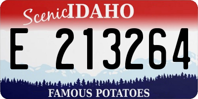 ID license plate E213264