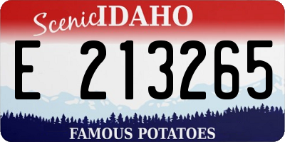 ID license plate E213265