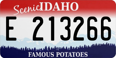 ID license plate E213266