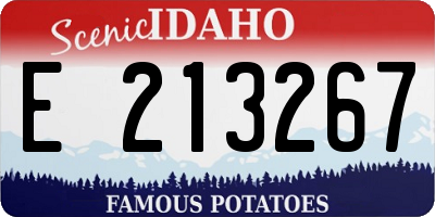 ID license plate E213267
