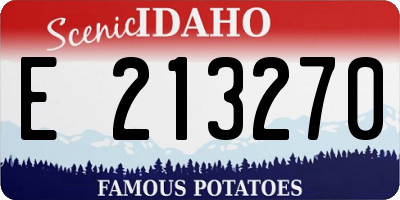 ID license plate E213270