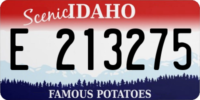 ID license plate E213275