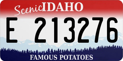 ID license plate E213276