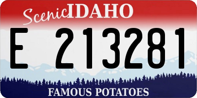 ID license plate E213281