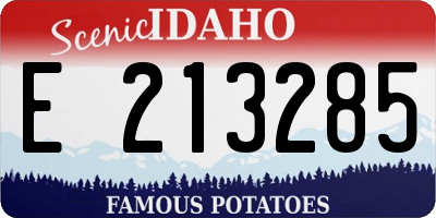 ID license plate E213285