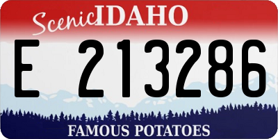 ID license plate E213286