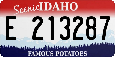 ID license plate E213287