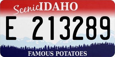 ID license plate E213289