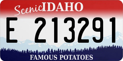 ID license plate E213291