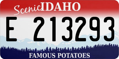 ID license plate E213293