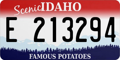 ID license plate E213294