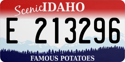 ID license plate E213296