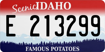 ID license plate E213299