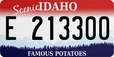 ID license plate E213300
