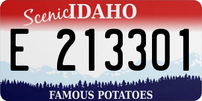 ID license plate E213301