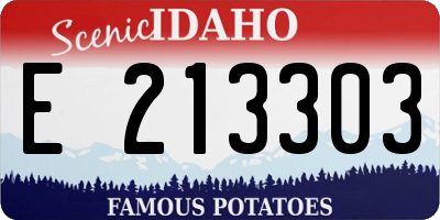 ID license plate E213303