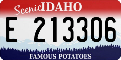 ID license plate E213306