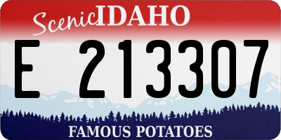 ID license plate E213307