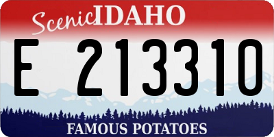 ID license plate E213310