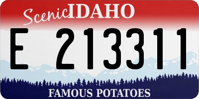 ID license plate E213311