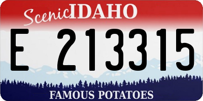 ID license plate E213315