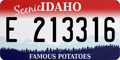 ID license plate E213316