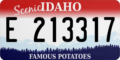 ID license plate E213317