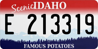 ID license plate E213319