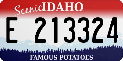ID license plate E213324
