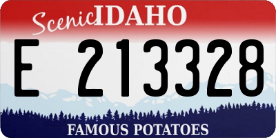 ID license plate E213328