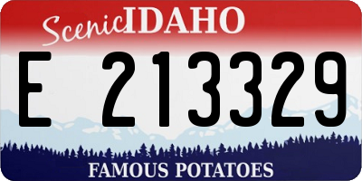 ID license plate E213329