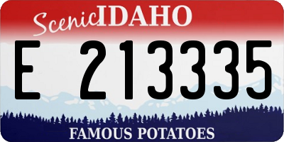 ID license plate E213335
