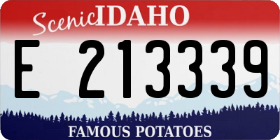 ID license plate E213339