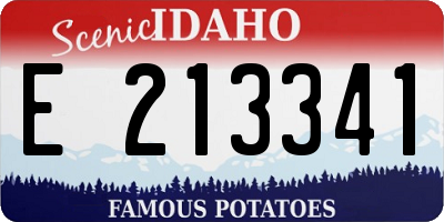 ID license plate E213341