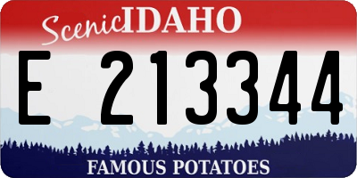 ID license plate E213344