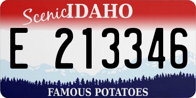 ID license plate E213346