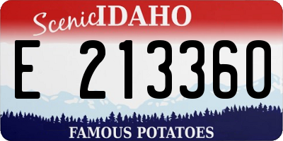 ID license plate E213360