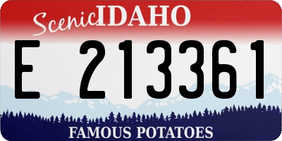 ID license plate E213361