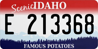 ID license plate E213368