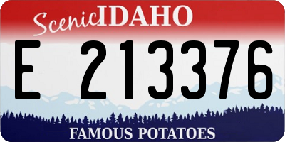 ID license plate E213376