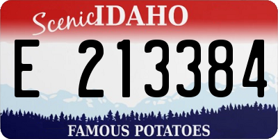 ID license plate E213384