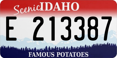 ID license plate E213387