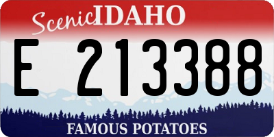 ID license plate E213388