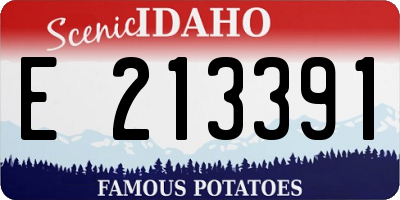 ID license plate E213391