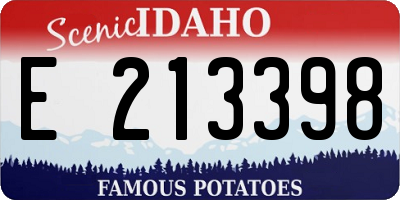 ID license plate E213398