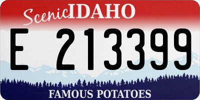 ID license plate E213399