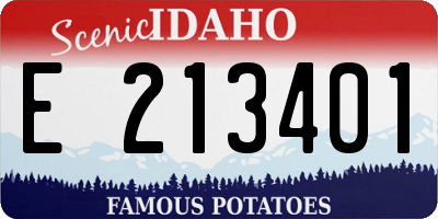 ID license plate E213401