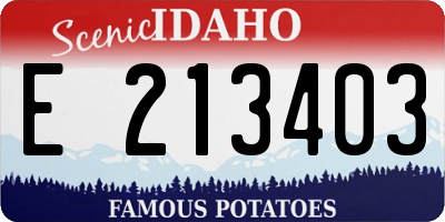ID license plate E213403