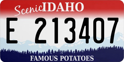 ID license plate E213407